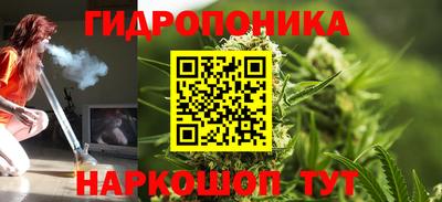 бошки Вышний Волочёк