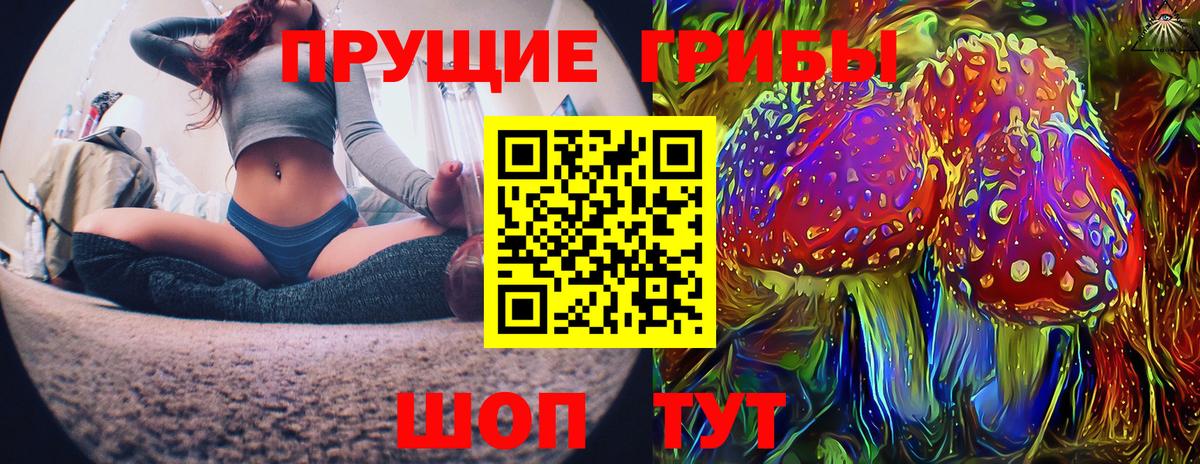 Псилоцибиновые грибы GOLDEN TEACHER  Галлюциногенные грибы Psilocybe  Вход с VPN  Гусиноозёрск 